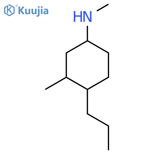 N,3-dimethyl-4-propylcyclohexan-1-amine structure
