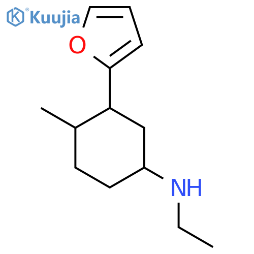 N-ethyl-3-(furan-2-yl)-4-methylcyclohexan-1-amine structure