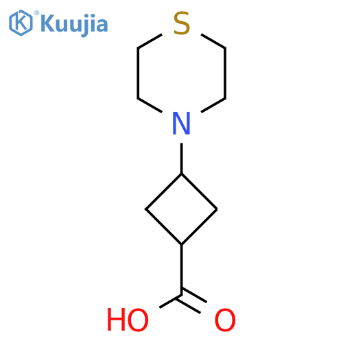 3-(thiomorpholin-4-yl)cyclobutane-1-carboxylic acid structure
