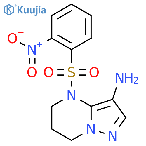 4-(2-nitrobenzenesulfonyl)-4H,5H,6H,7H-pyrazolo[1,5-a]pyrimidin-3-amine structure