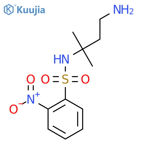 N-(4-amino-2-methylbutan-2-yl)-2-nitrobenzene-1-sulfonamide structure