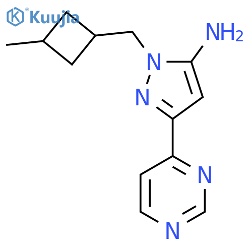 1-(3-methylcyclobutyl)methyl-3-(pyrimidin-4-yl)-1H-pyrazol-5-amine structure