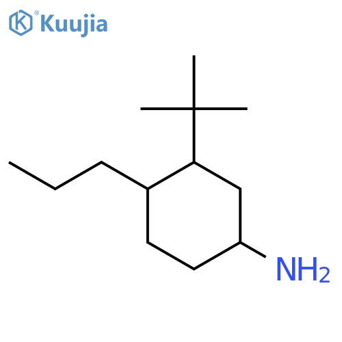 3-Tert-butyl-4-propylcyclohexan-1-amine structure