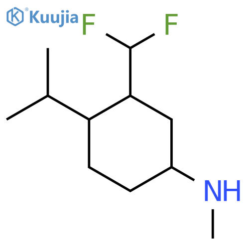 3-(difluoromethyl)-N-methyl-4-(propan-2-yl)cyclohexan-1-amine structure