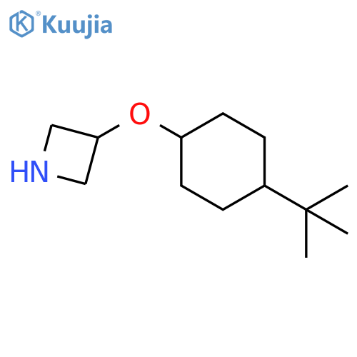 3-(4-tert-butylcyclohexyl)oxyazetidine structure