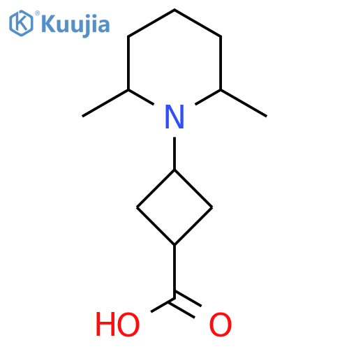 3-(2,6-dimethylpiperidin-1-yl)cyclobutane-1-carboxylic acid structure