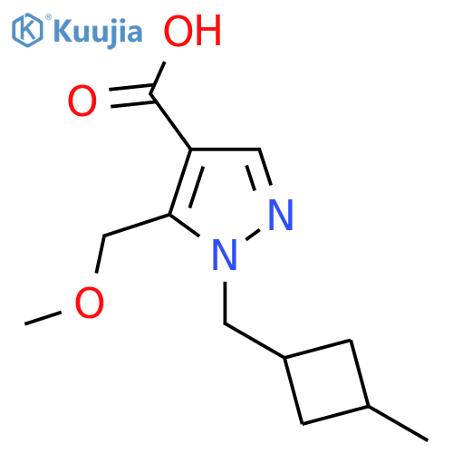 5-(methoxymethyl)-1-(3-methylcyclobutyl)methyl-1H-pyrazole-4-carboxylic acid structure