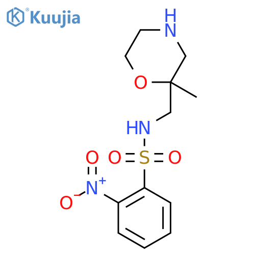 N-[(2-methylmorpholin-2-yl)methyl]-2-nitrobenzene-1-sulfonamide structure
