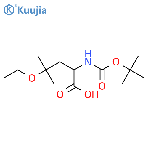 2-{(tert-butoxy)carbonylamino}-4-ethoxy-4-methylpentanoic acid structure