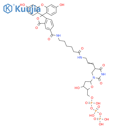 Fluorescein-dUTP structure