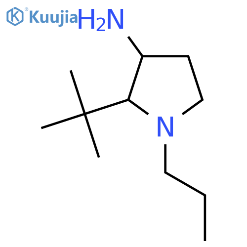 2-tert-butyl-1-propylpyrrolidin-3-amine structure