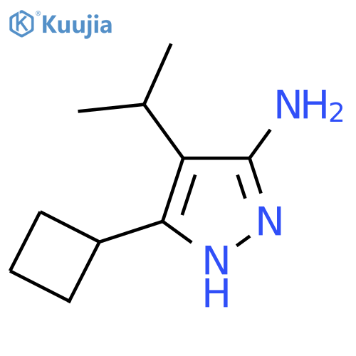 3-cyclobutyl-4-(propan-2-yl)-1H-pyrazol-5-amine structure
