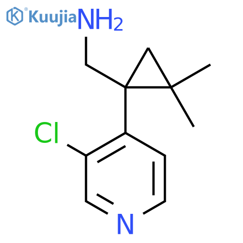 1-(3-chloropyridin-4-yl)-2,2-dimethylcyclopropylmethanamine structure