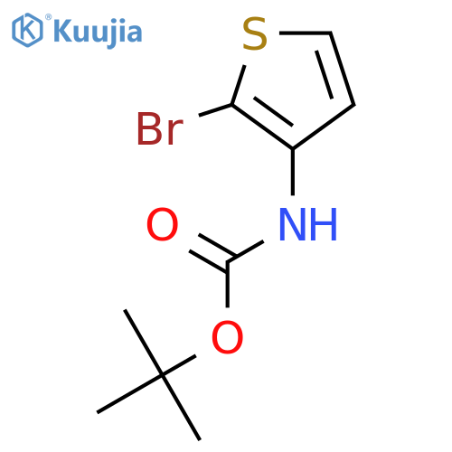 3-(Boc-Amino)-2-Bromothiophene structure