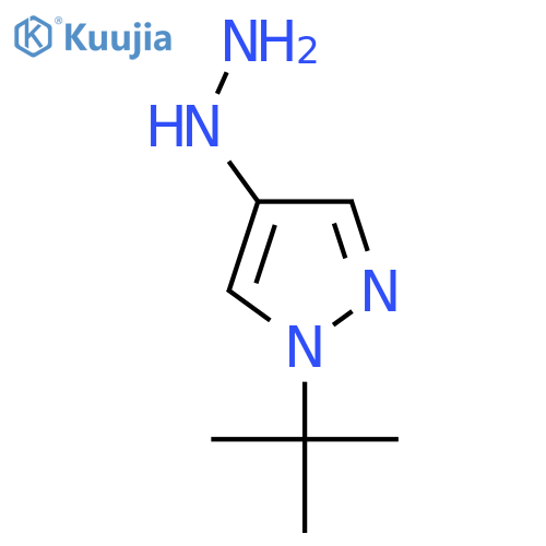 1-tert-butyl-4-hydrazinyl-1H-pyrazole structure