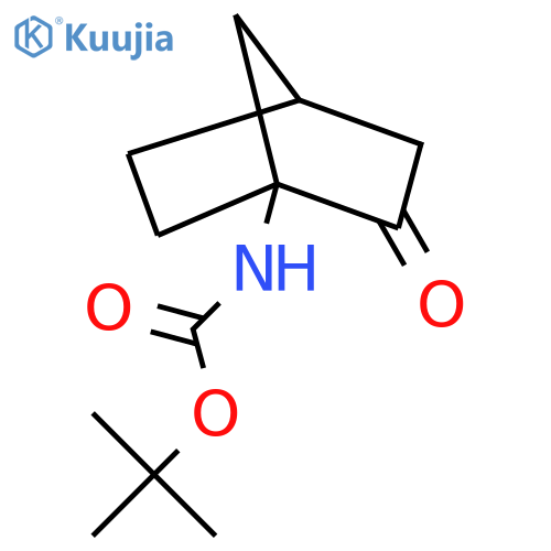 tert-butyl N-{2-oxobicyclo2.2.1heptan-1-yl}carbamate structure
