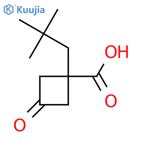 1-(2,2-dimethylpropyl)-3-oxocyclobutane-1-carboxylic acid structure