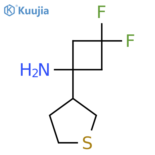 3,3-difluoro-1-(thiolan-3-yl)cyclobutan-1-amine structure