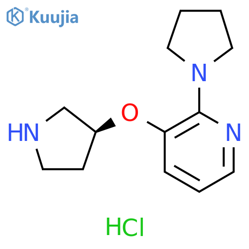 2-(pyrrolidin-1-yl)-3-(3S)-pyrrolidin-3-yloxypyridine dihydrochloride structure
