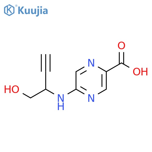 5-(1-hydroxybut-3-yn-2-yl)aminopyrazine-2-carboxylic acid structure