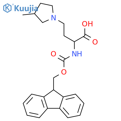 2-({[(9H-fluoren-9-yl)methoxy]carbonyl}amino)-4-(3-methylpyrrolidin-1-yl)butanoic acid structure