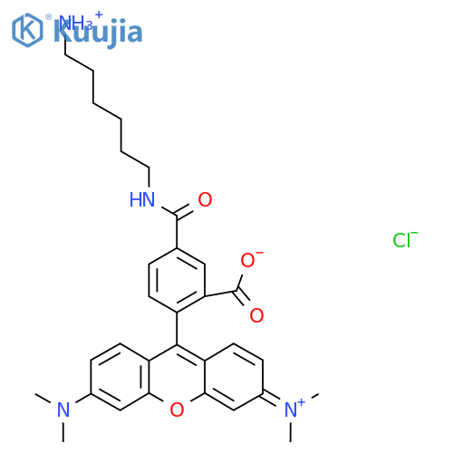 TAMRA amine, 5-isomer structure