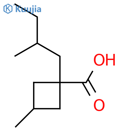 3-Methyl-1-(2-methylbutyl)cyclobutane-1-carboxylic acid structure