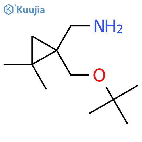 {1-(tert-butoxy)methyl-2,2-dimethylcyclopropyl}methanamine structure