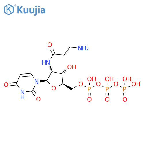 Uridine 5'-(tetrahydrogen triphosphate),2'-[(3-amino-1-oxopropyl)amino]-2'-deoxy- structure