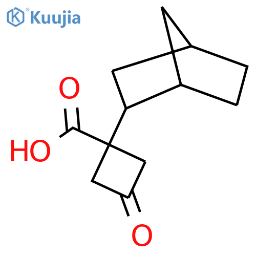 1-{bicyclo2.2.1heptan-2-yl}-3-oxocyclobutane-1-carboxylic acid structure