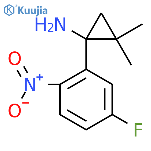 1-(5-fluoro-2-nitrophenyl)-2,2-dimethylcyclopropan-1-amine structure