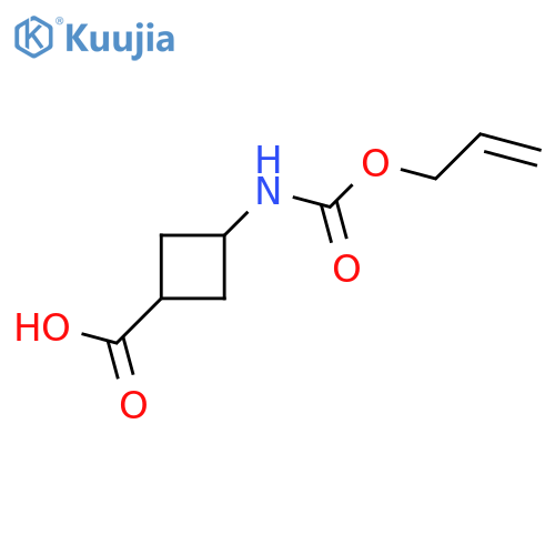 3-{[(Prop-2-en-1-yloxy)carbonyl]amino}cyclobutane-1-carboxylic acid structure