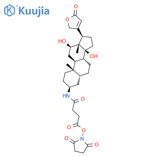 3β-Amino-3-deoxydigitoxigenin Hemisuccinate N-Succinimidyl Ester structure