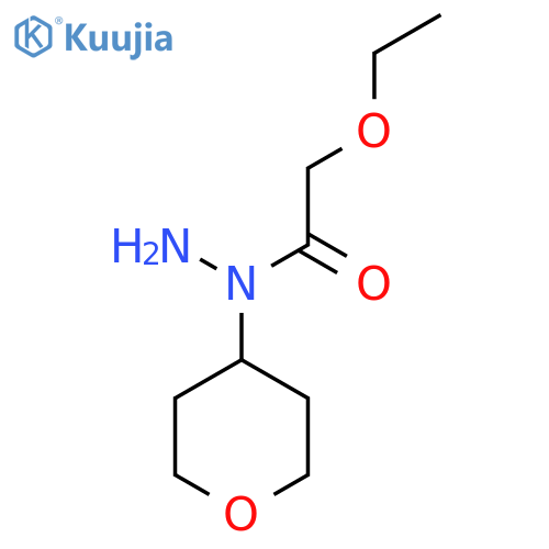 2-ethoxy-N-(oxan-4-yl)acetohydrazide structure