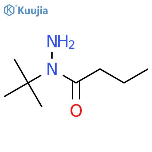 N-tert-butylbutanehydrazide structure
