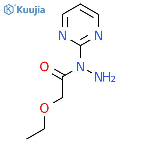 2-ethoxy-N-(pyrimidin-2-yl)acetohydrazide structure