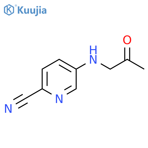 5-(2-oxopropyl)aminopyridine-2-carbonitrile structure