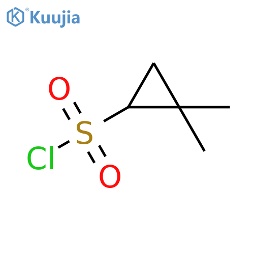 Cyclopropanesulfonyl chloride, 2,2-dimethyl- structure