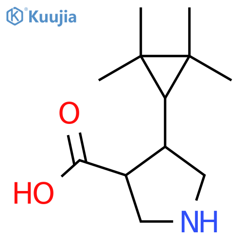 4-(2,2,3,3-tetramethylcyclopropyl)pyrrolidine-3-carboxylic acid structure