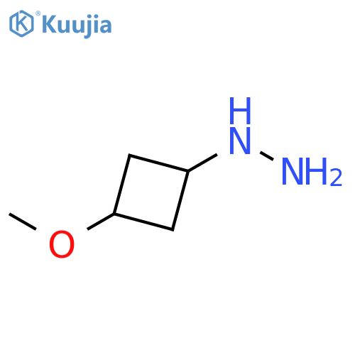 cis-(3-methoxycyclobutyl)hydrazine structure