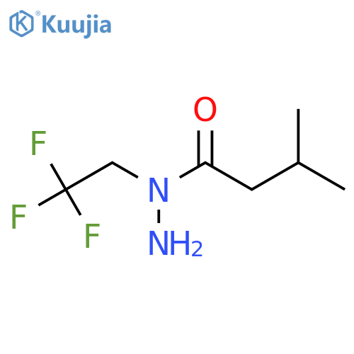 3-methyl-N-(2,2,2-trifluoroethyl)butanehydrazide structure
