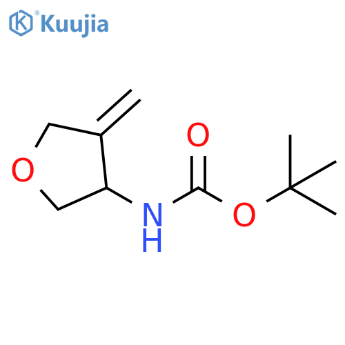 tert-butyl N-(4-methylideneoxolan-3-yl)carbamate structure