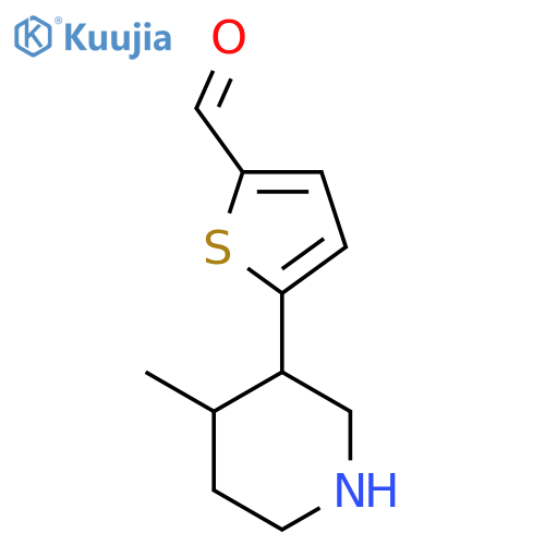5-(4-methylpiperidin-3-yl)thiophene-2-carbaldehyde structure