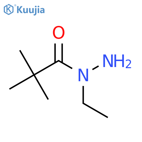 N-ethyl-2,2-dimethylpropanehydrazide structure