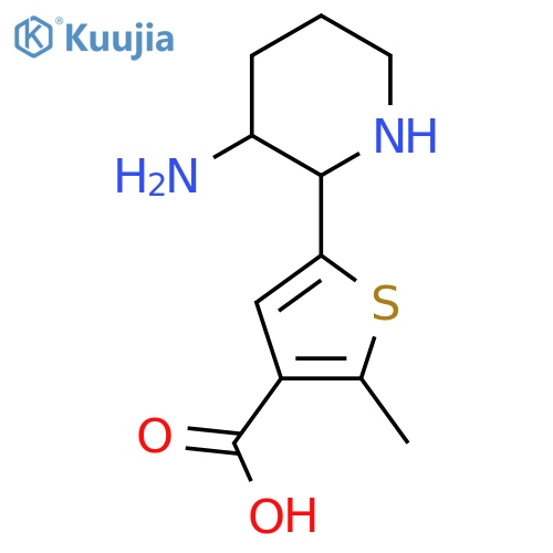 5-(3-aminopiperidin-2-yl)-2-methylthiophene-3-carboxylic acid structure