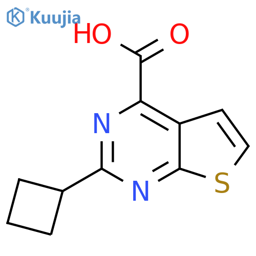 2-cyclobutylthieno2,3-dpyrimidine-4-carboxylic acid structure