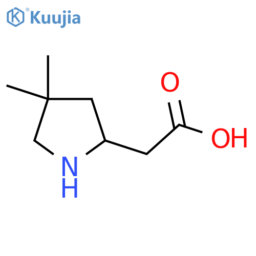 2-(4,4-dimethylpyrrolidin-2-yl)acetic acid structure