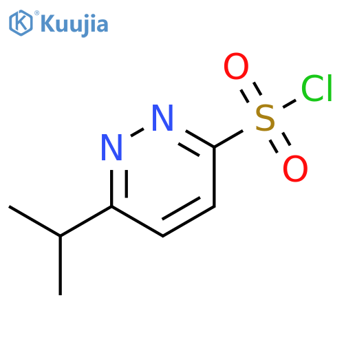 6-isopropylpyridazine-3-sulfonyl chloride structure