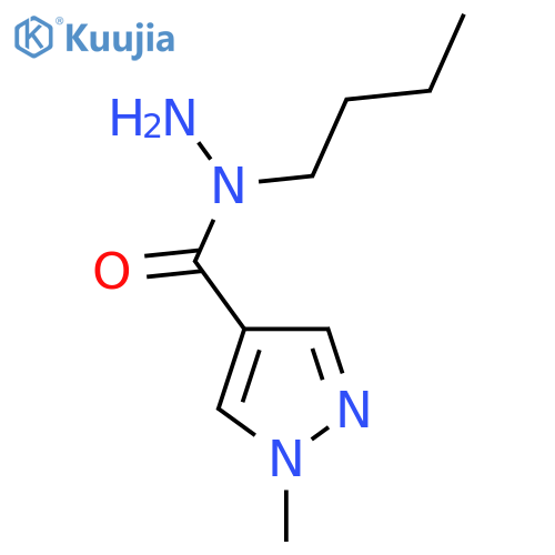 N-butyl-1-methyl-1H-pyrazole-4-carbohydrazide structure