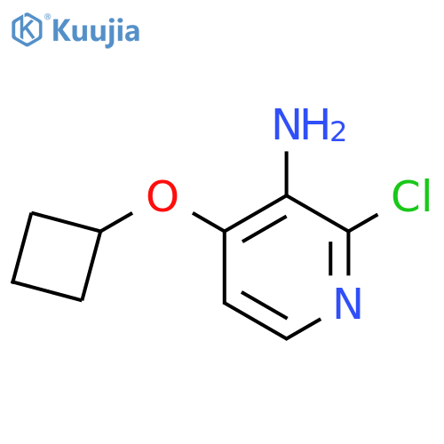 2-chloro-4-cyclobutoxypyridin-3-amine structure